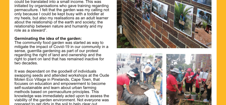 The community food garden of CGH (2)